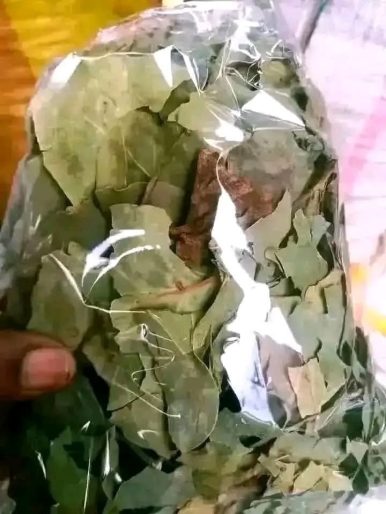 Kit de Fertilité Naturel Très Efficace – Soutien à la Conception pour Femmes de Tout Âge