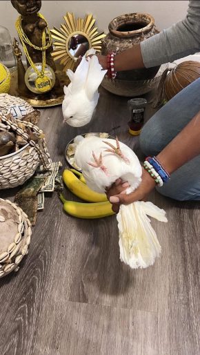 rituel retour affectif rapide pour faire revenir son ex